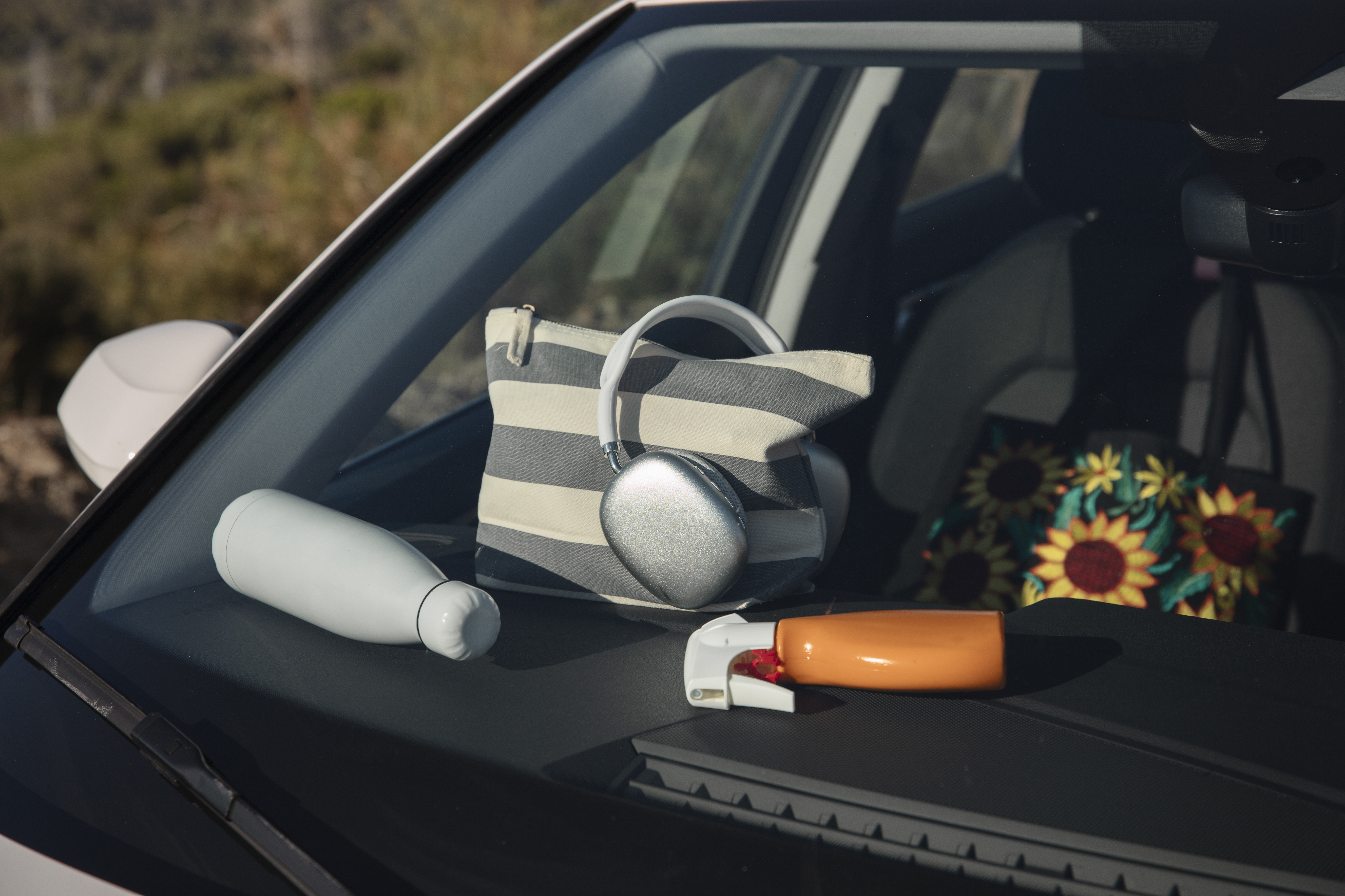 Organized cleaning products and bags in someone car camping window